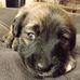 Meghan Kirk - Facebook
