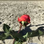 Meghan Smith Latimer - @meghanslatimer - Instagram