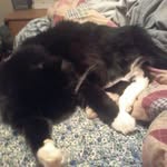 meghanjadelinder - @meghanjadelinder2660 - Instagram