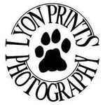 Meghan Lyon Hamlin - @lyonprintsphotography - Instagram