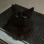 Meghan M. Lyons - @meghan_lyons07 - Instagram