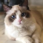 meghan michael - @sunshine.lover13 - Instagram
