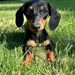 Meghan Mora - Facebook