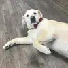 meghanmoran587 - @meghanmoran587 - TikTok