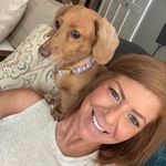 Meghan Womack - @meghan.nashville.pets - Instagram