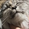Meghan - @meghan._.rise - TikTok