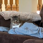 Meghan Pearson - @moomer77 - Instagram