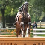 Meghan - @meghanruby_eq - Instagram