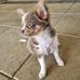 Megan Ryder - Facebook