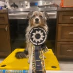 Meghan Ryder - @epoch_sports_dogs - Instagram