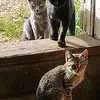 Megan Stuart - @megan.stuart73 - TikTok