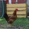 Meghan Watts - @meghan.watts - TikTok