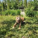 Meghan Webb - @dreamingofdave - Instagram