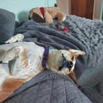 Meghan Weiss - @megbake80 - Instagram