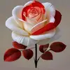 Mehak Hans - @mehakhans316 - TikTok