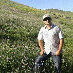 Mehran Rahimi - @mehran.rahimi - Instagram