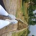 Mehreen Bashir - Facebook