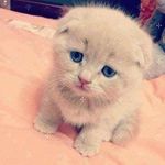 Mehreen Memon - @mehreenmemon13 - Instagram
