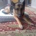 Mehta Halstead - Facebook