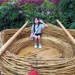 Mei Ting Eng - Facebook