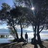 meichenwang281 - @meichenwang281 - TikTok