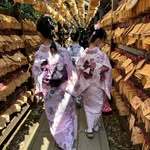 meichun Chen - @meichun_chen81 - Instagram