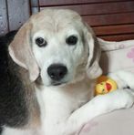 Meichun Chen - Facebook