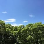 Meichun Chen - @meichun9140 - Instagram