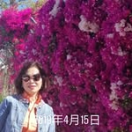 meihua yu chen - @meihuayuchen - Instagram