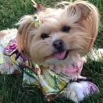 Meiko Lee - @leemeiko - Instagram