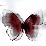 🦋 - @meikoleen - Instagram