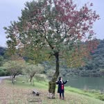 Mei Na - @meina_lin_6688 - Instagram