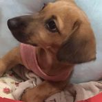 Meina Lin - Facebook