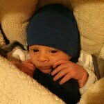 @meir_stein - Instagram