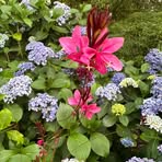 Mel Armstrong - Facebook