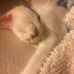 Mel Barr - Facebook