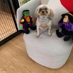 Mel Burstein - Facebook