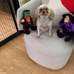 Mel Burstein - @bursteinmel - Instagram