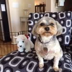 Mel Burstein - @melburstein - Instagram