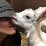 Mel Chamberlain - @chambermoon - Instagram