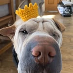 Mel - @mel.chamberlain70 - Instagram