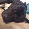 Mel Clarke - @mel.clarke5 - TikTok