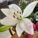 Healing Journey - @melcope444 - Instagram