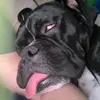 meldotson2000 - @tux_on_tiktok - TikTok