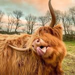 Mel Dunn - @melllydunn - Instagram