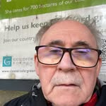 Mel Fitzgerald - @melinkenmare7 - Instagram