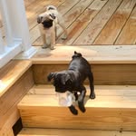 Melinda Garner - @melgarner1454 - Instagram