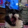 bubbaboy - @melgrayson03 - TikTok