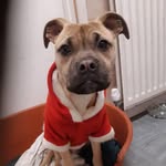 Mel Grayson - @mel.grayson.129 - Instagram