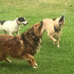 Mel Harvey - @harveymel76 - Instagram